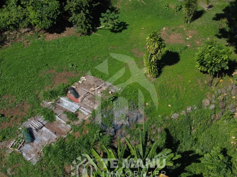 A vendre – terrain de 750m2 sur Arue - temanuimmobilier.com