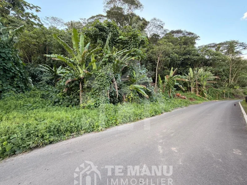 A vendre – 2 parcelles sur Raiatea d’un total de 10036m2 - temanuimmobilier.com