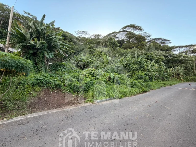A vendre – 2 parcelles sur Raiatea d’un total de 10036m2 - temanuimmobilier.com
