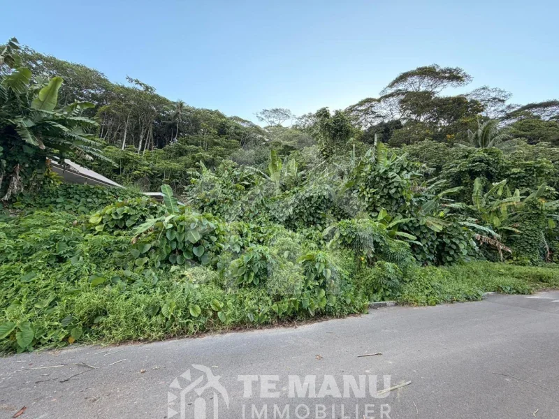 A vendre – 2 parcelles sur Raiatea d’un total de 10036m2 - temanuimmobilier.com