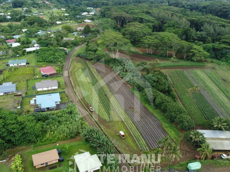 À vendre – Terrain sur Afaahiti 10 800m2 - temanuimmobilier.com
