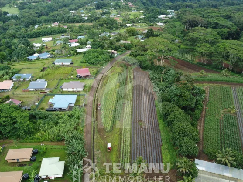 À vendre – Terrain sur Afaahiti 10 800m2 - temanuimmobilier.com