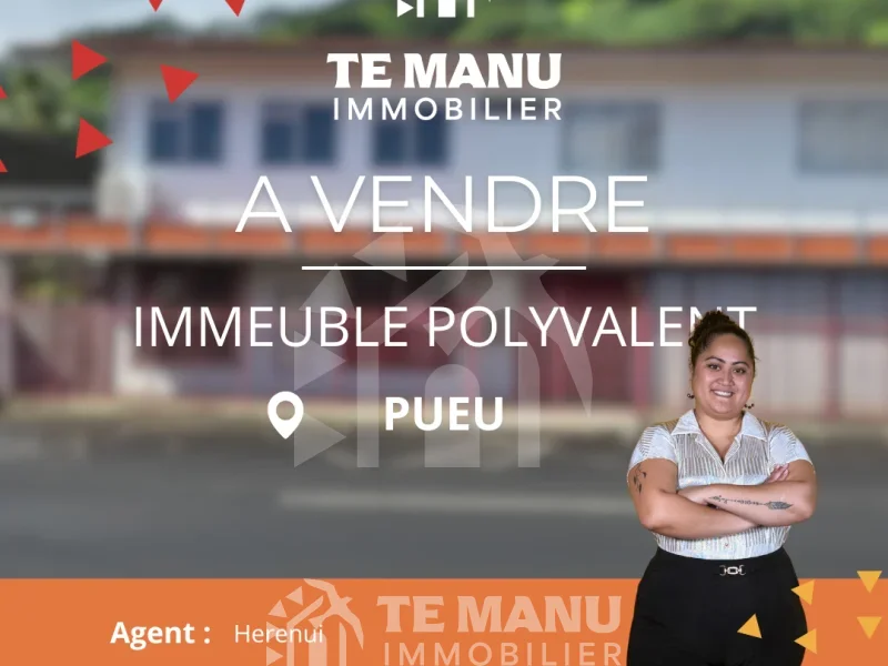 A vendre – IMMEUBLE POLYVALENT À PUEU - temanuimmobilier.com