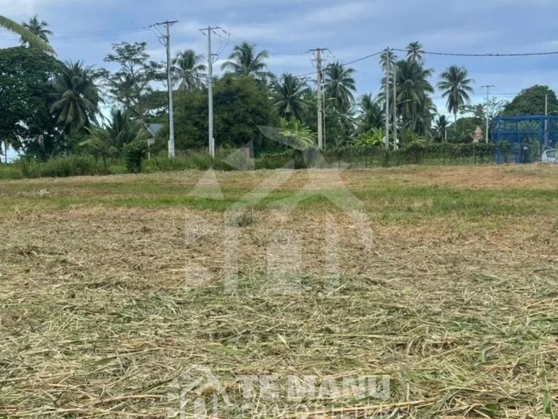 À vendre – Terrain sur Papara 1440m2