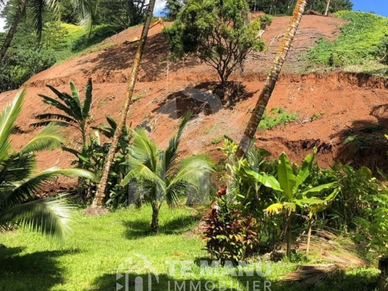 A vendre – Grande parcelle sur Papenoo de 22 944m2 - temanuimmobilier.com